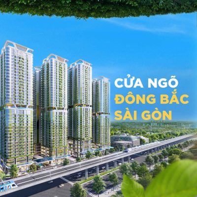 Giấc mơ an cư 2025 : 'Nỗi đau thầm lặng' của người trẻ