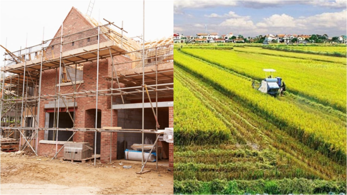 Quy Định Mới 2025 Cho Xây Nhà Kho, Xưởng Trên Đất Nông Nghiệp – Không Làm Sẽ Phạt
