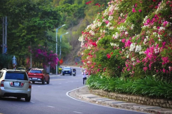 Check-in Bắc Nha Trang trước giờ chạy VnExpress Marathon